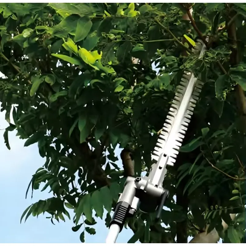 DongCheng Akülü Çit Budama Apa - Power Tools Dongcheng incelemesi ve fiyatı